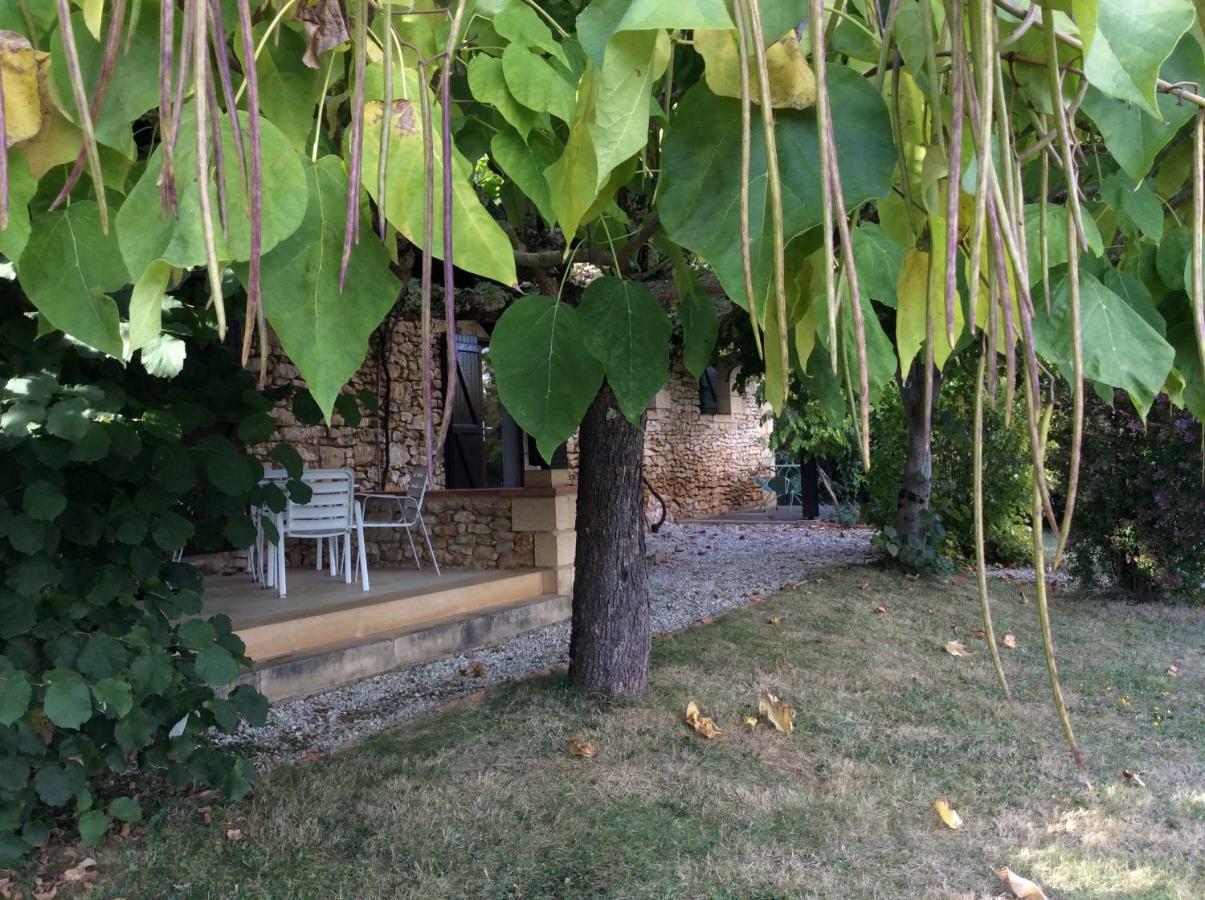 Domaine De Manilau Villa Le Buisson-de-Cadouin Dış mekan fotoğraf