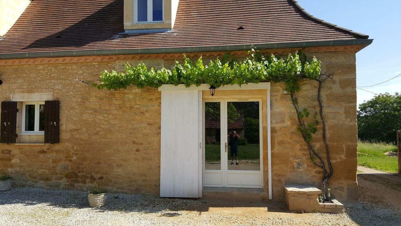 Domaine De Manilau Villa Le Buisson-de-Cadouin Dış mekan fotoğraf